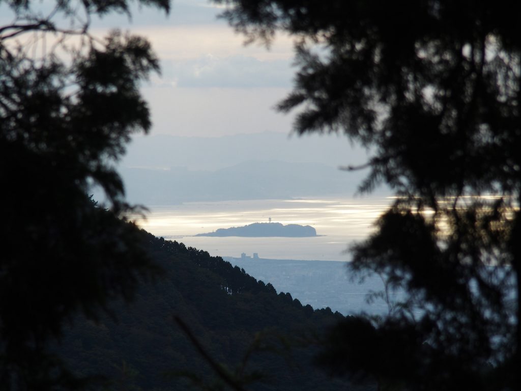 樹林越しに江の島が見える