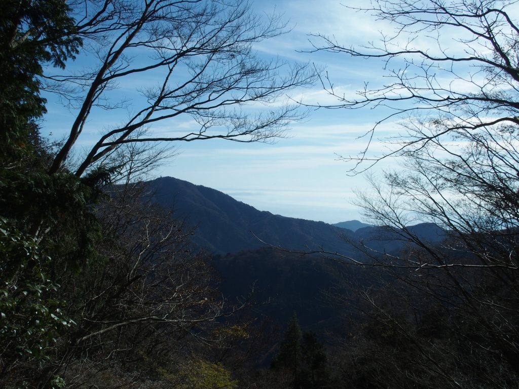 大山の稜線の向こうに、相模湾が広がる