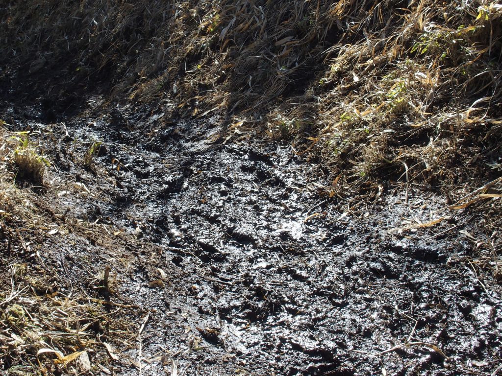 山頂手前の登山道ぬかるみ