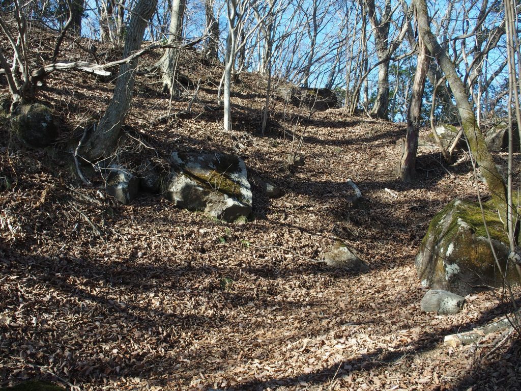 落ち葉の登山道