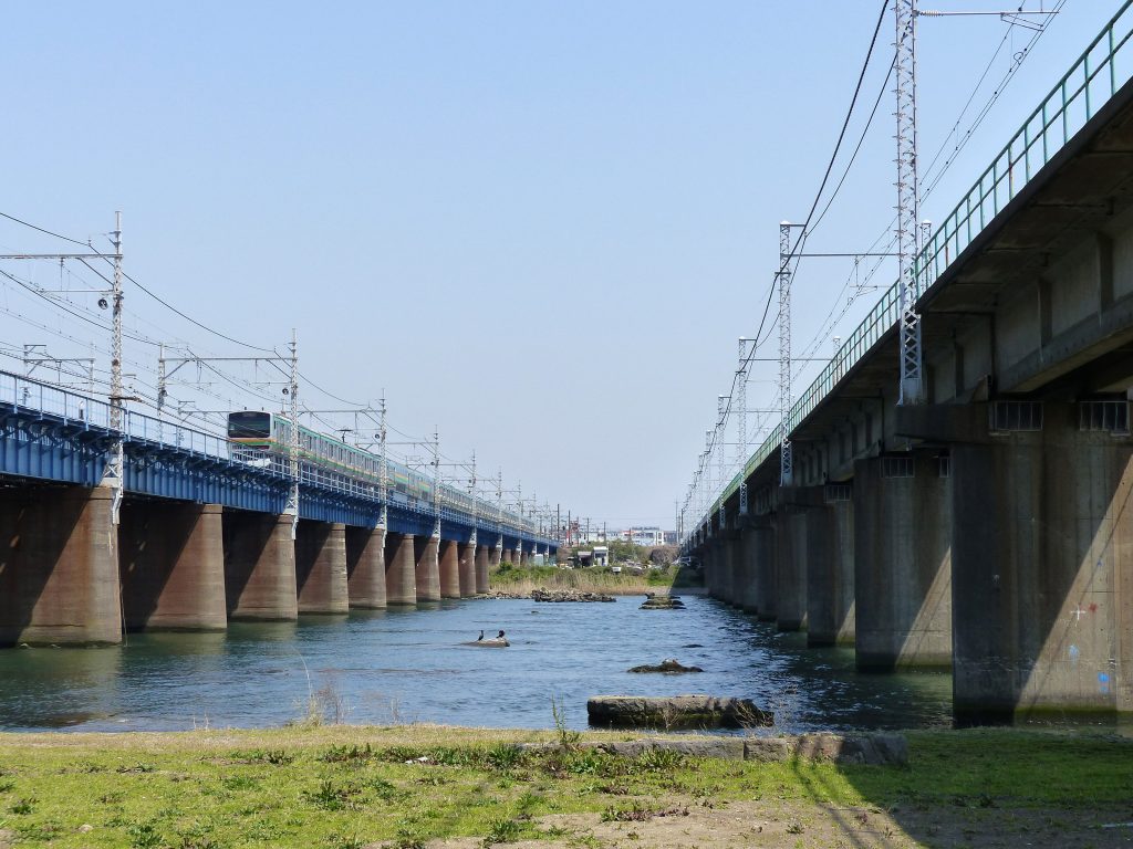 平塚側からの眺め