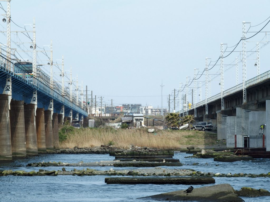 干潮時に露出する明治橋脚