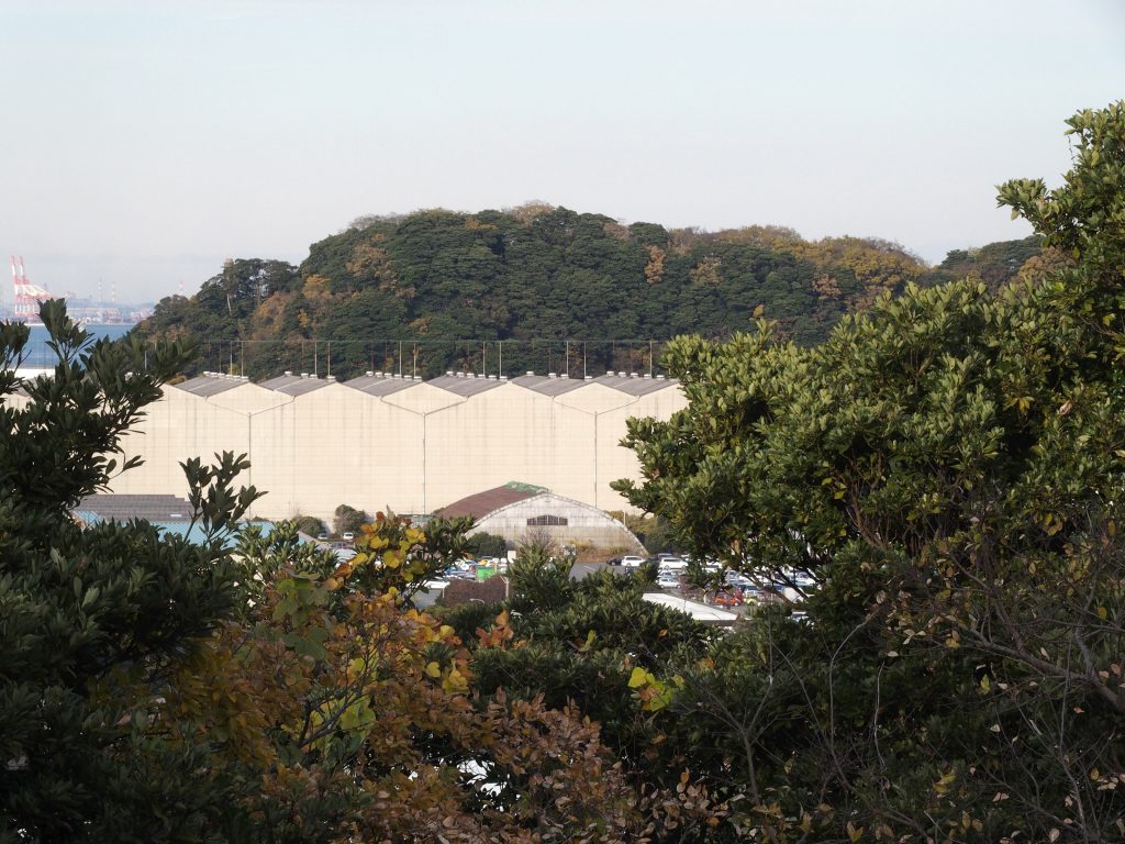 貝山緑地から全景を見渡せる