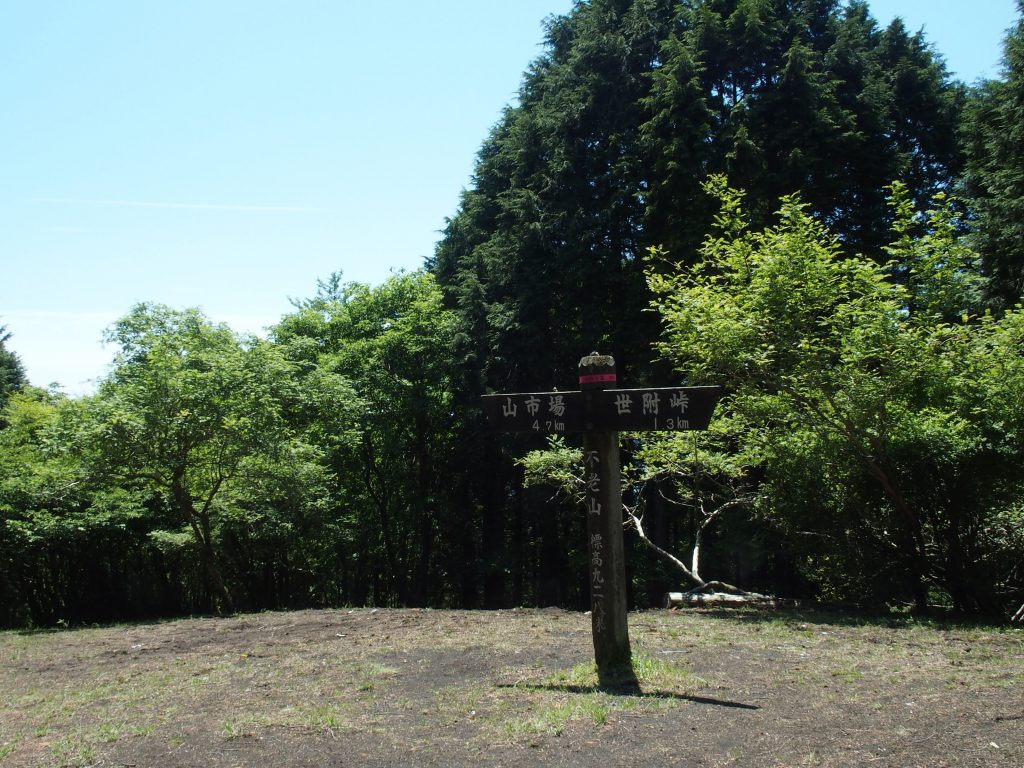 まだ咲いていない不老山山頂