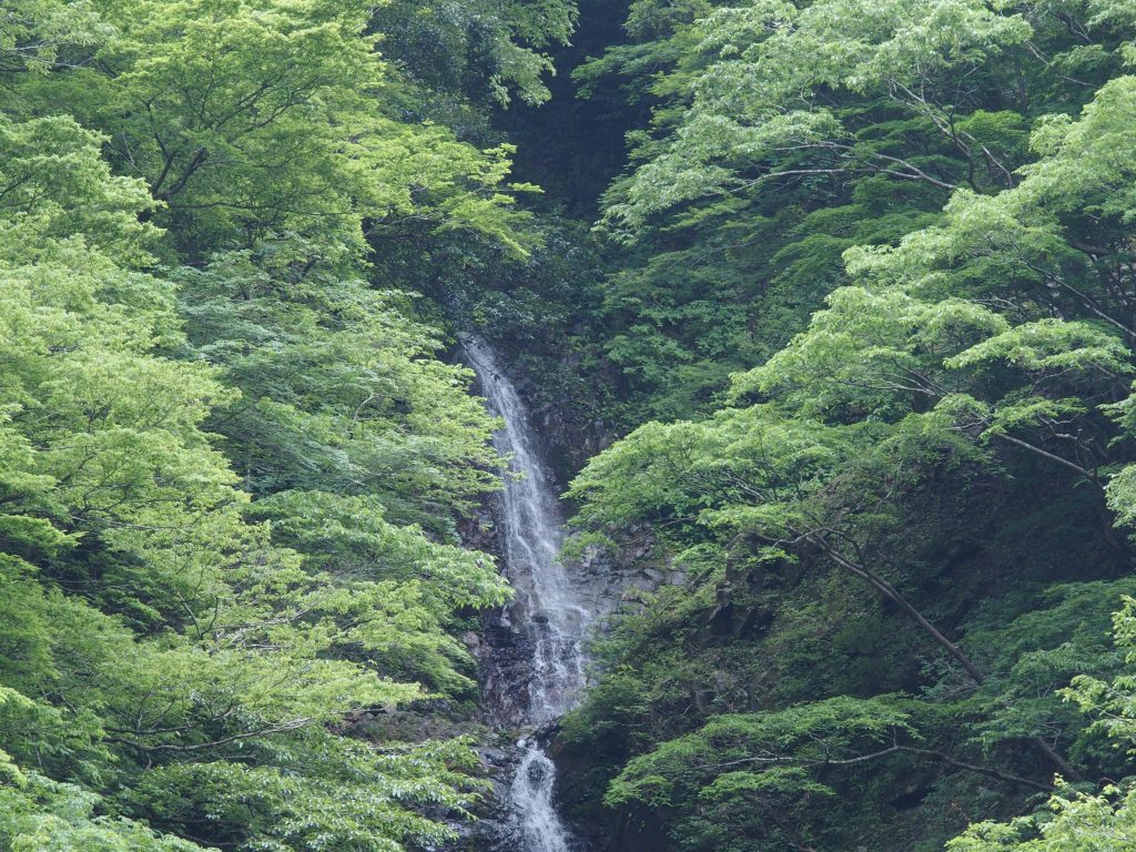 落差のある夕滝