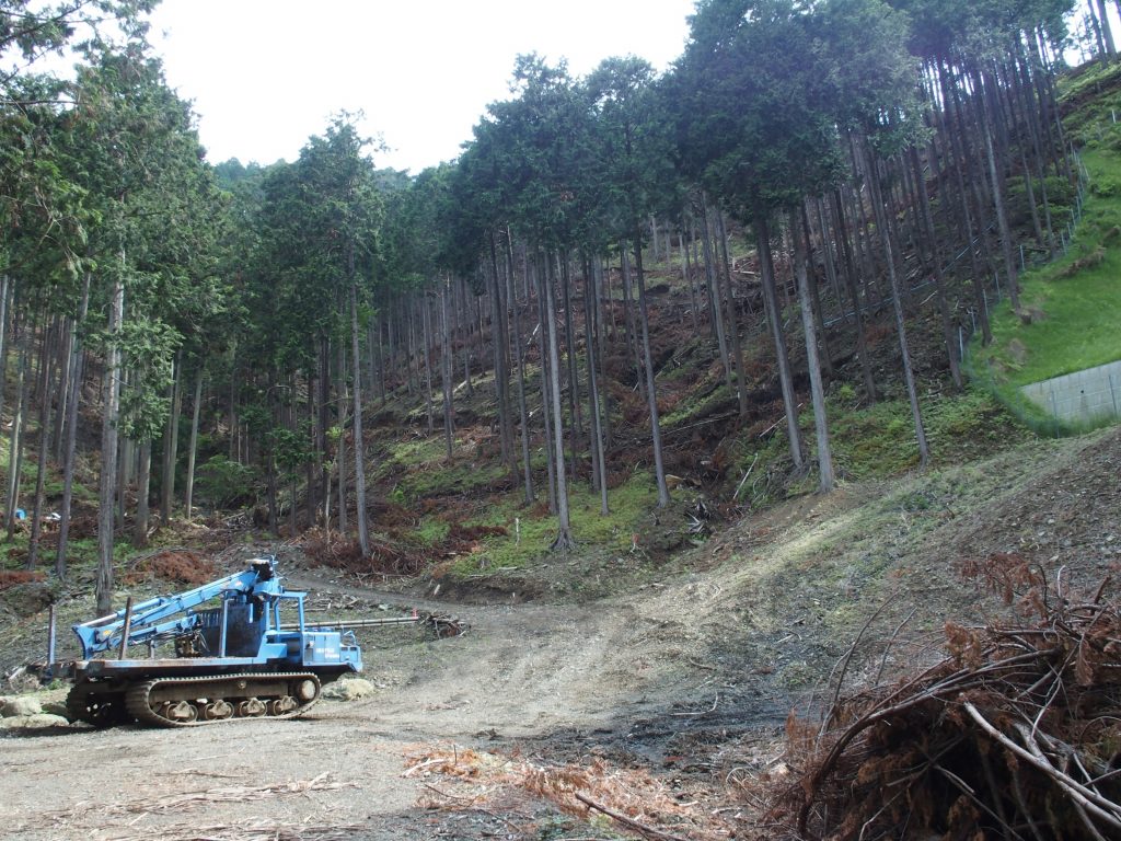 この山に挑む