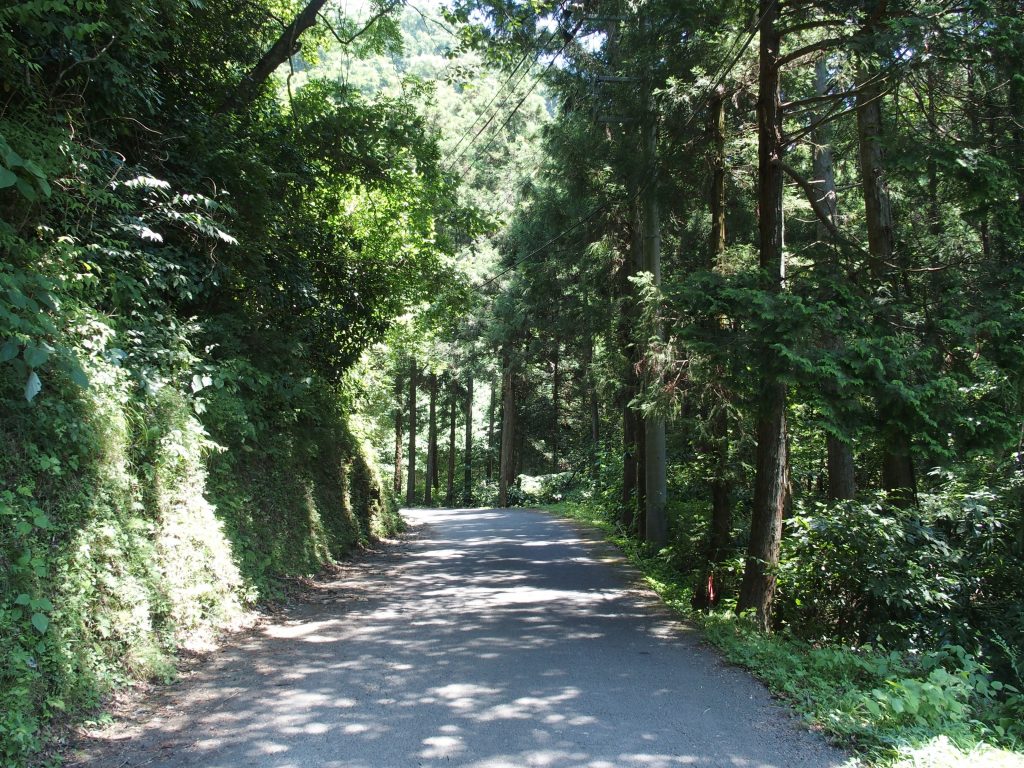 尺里峠への道路