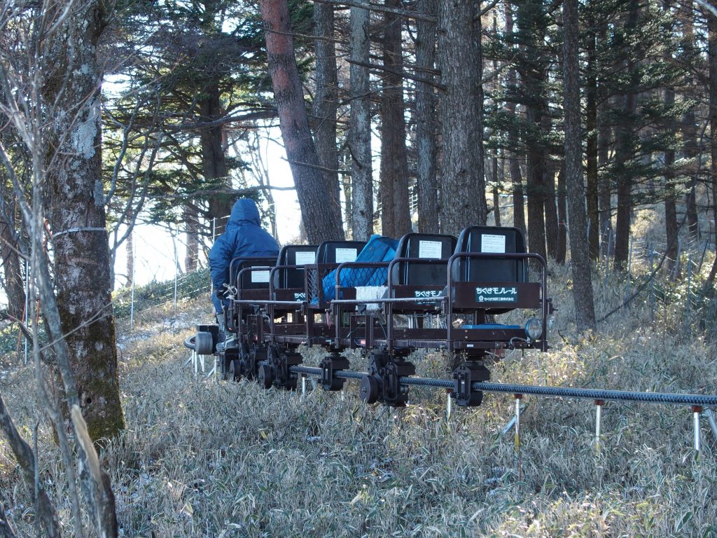 運転者を含め5人乗りの構成