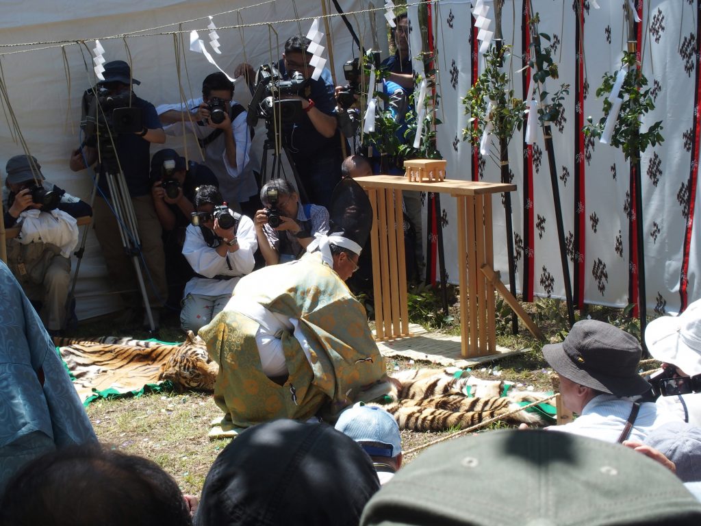 神主が虎の皮を祭壇に近づける