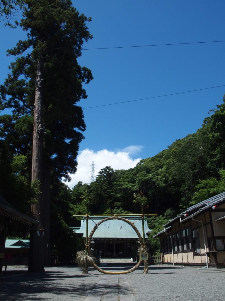 青い空に映える