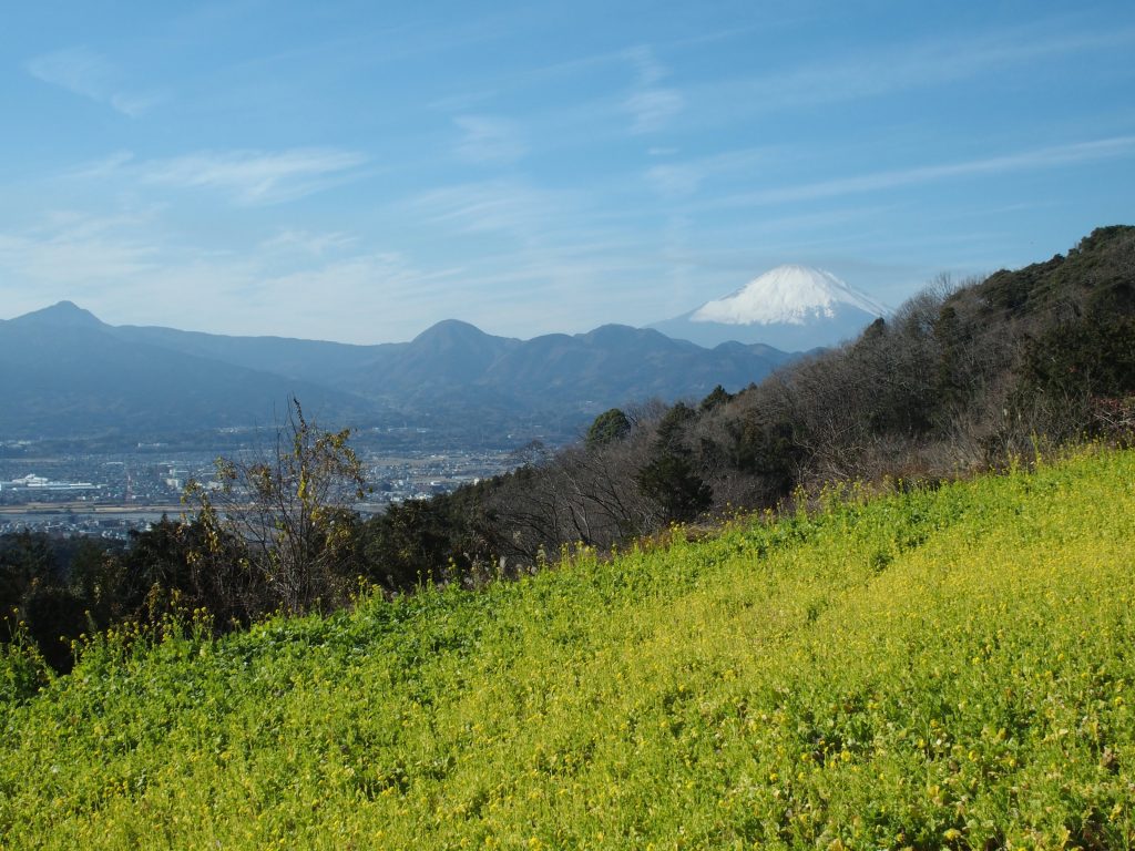 山並み連なり、その向こうには