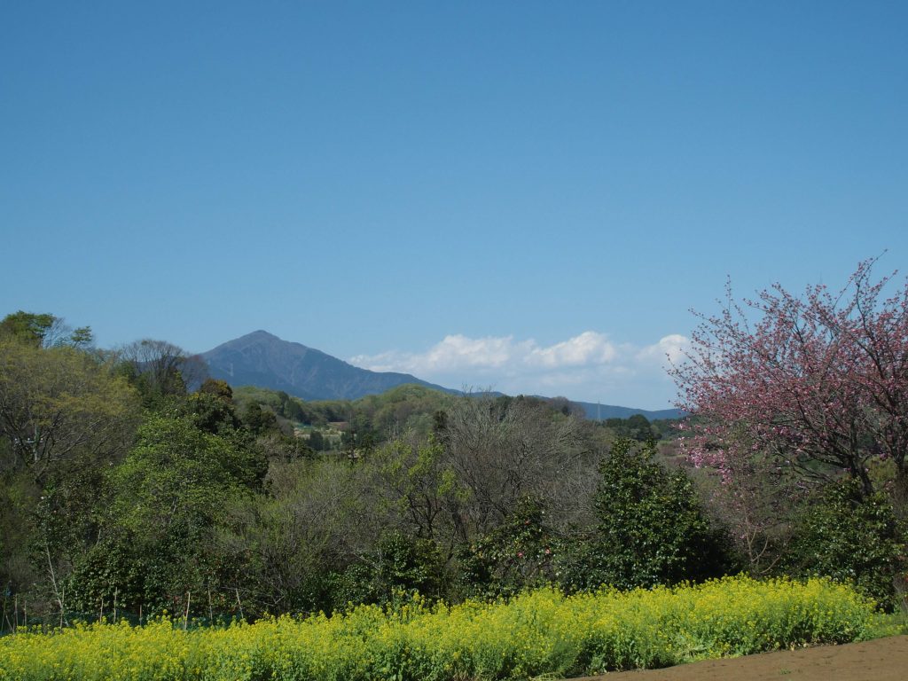 大山！