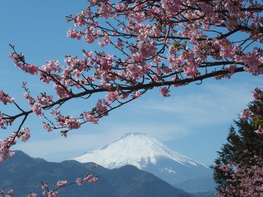 富士山にズーム