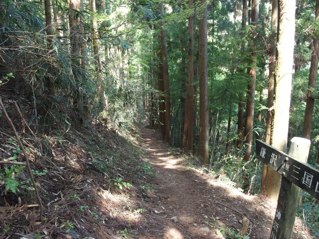 登山道