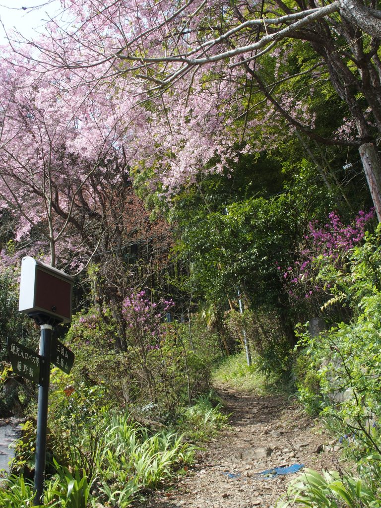 登山ポスト