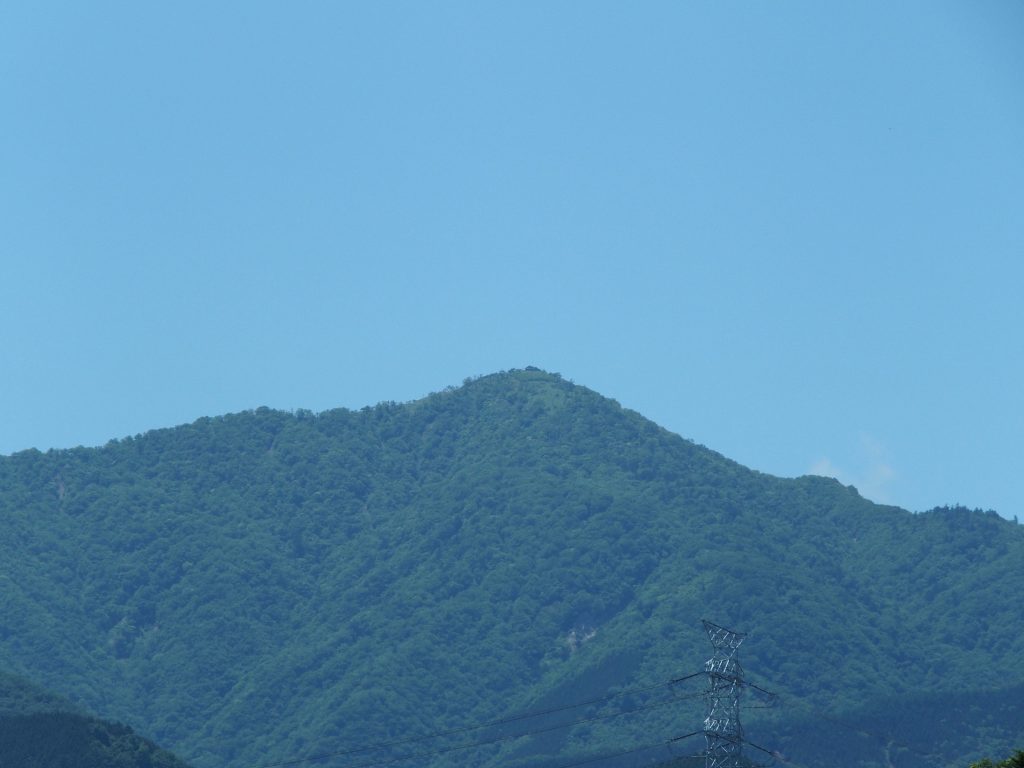 鳥居原園地からズーム