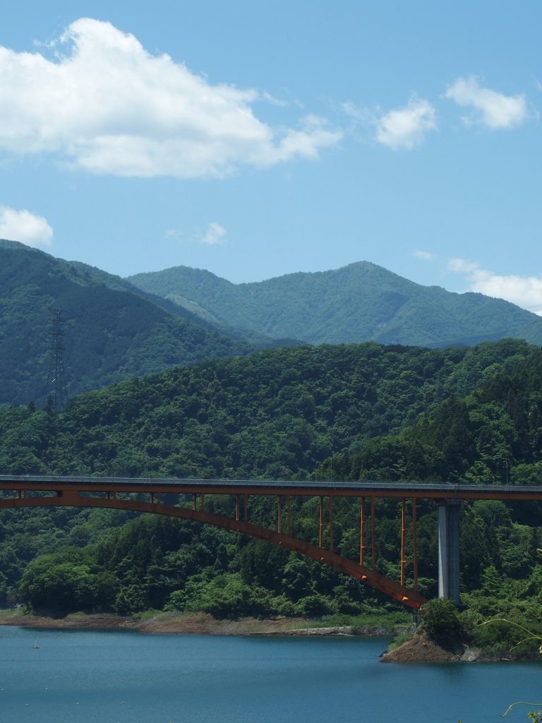 鳥居原園地からはもっと近くに見える