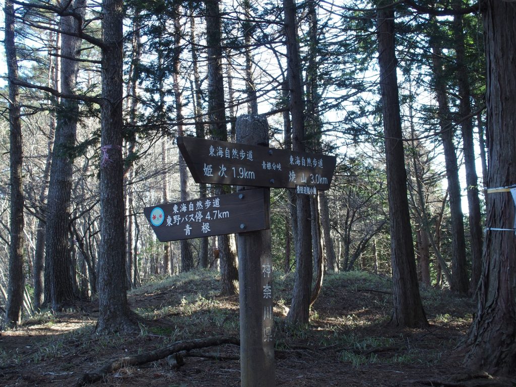 青根分岐の指導標