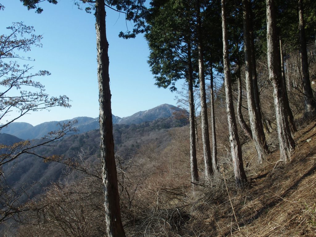 蛭ヶ岳が見える