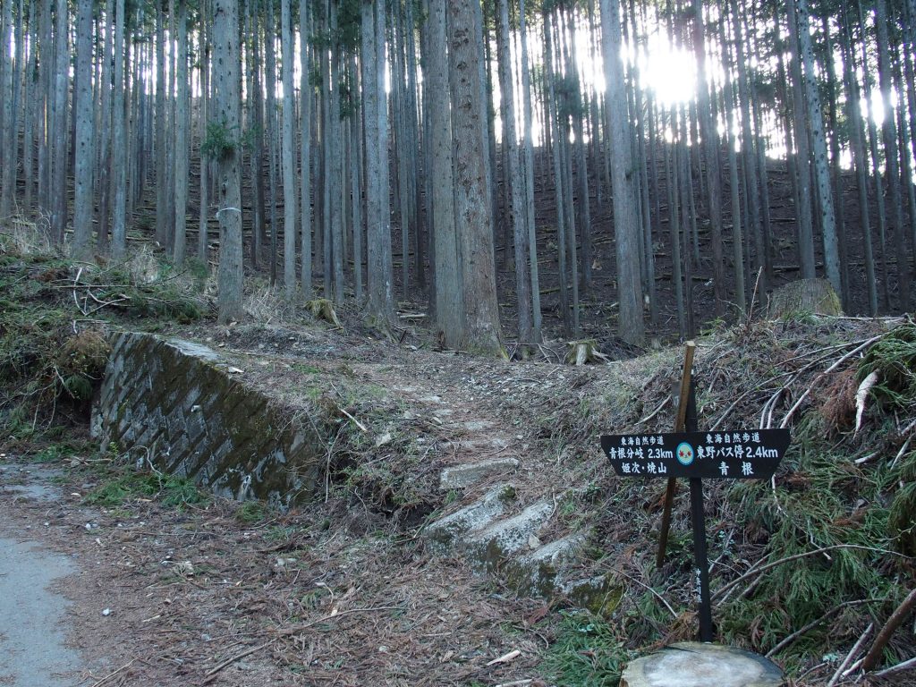 「八丁坂ノ頭」への分岐