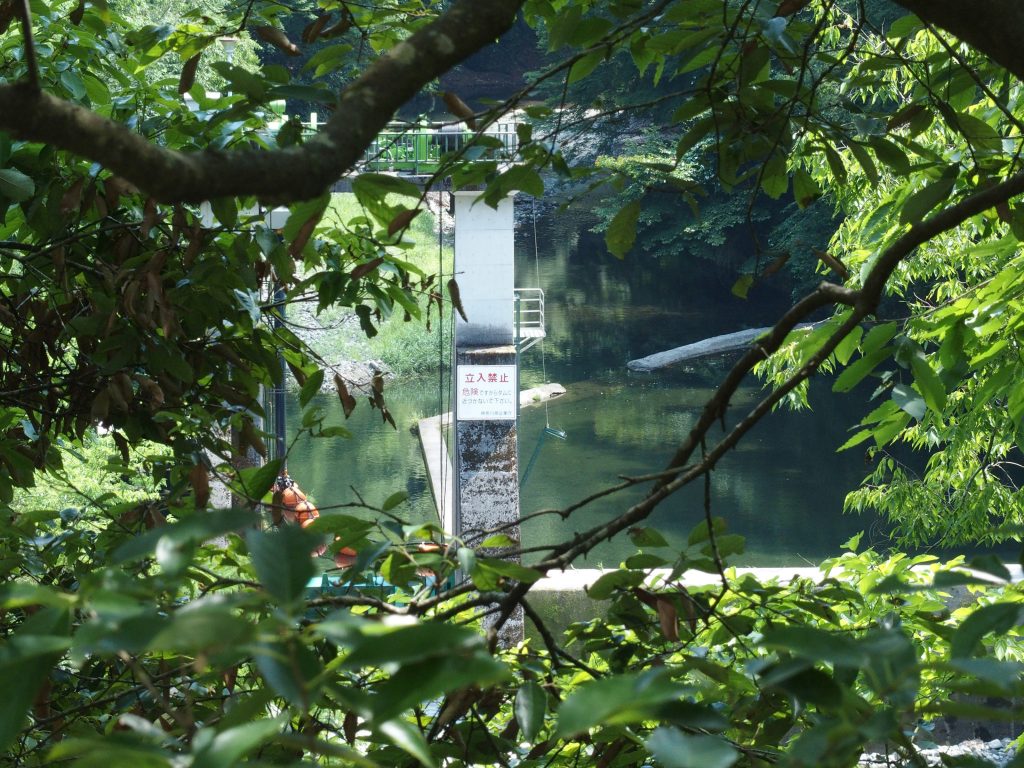 対岸からダム正面の眺め。