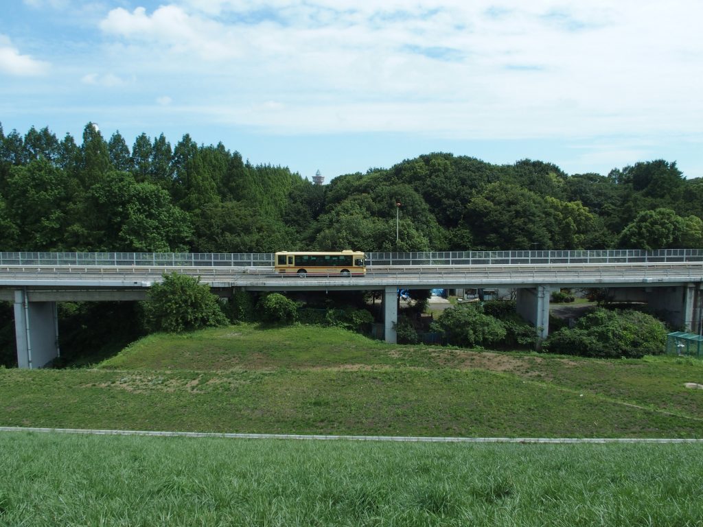 堤体と道路