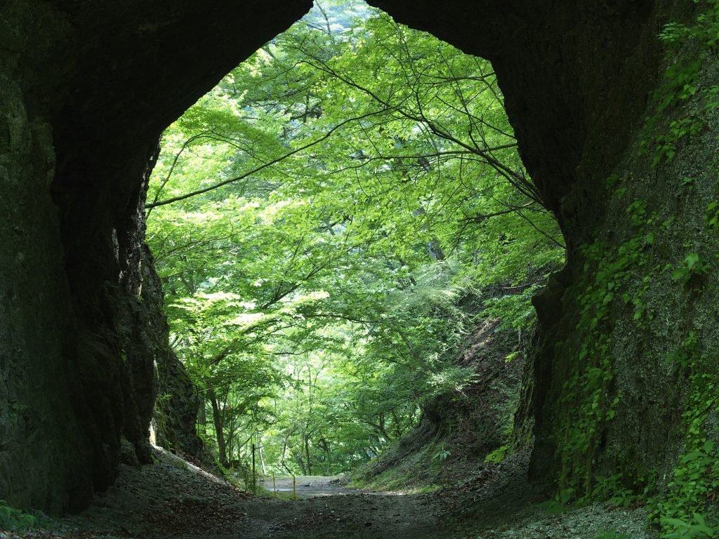 素掘りのトンネルを抜ける