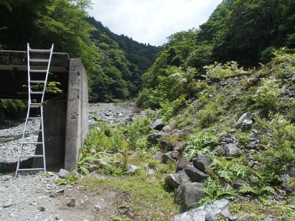 橋の片側が流失している