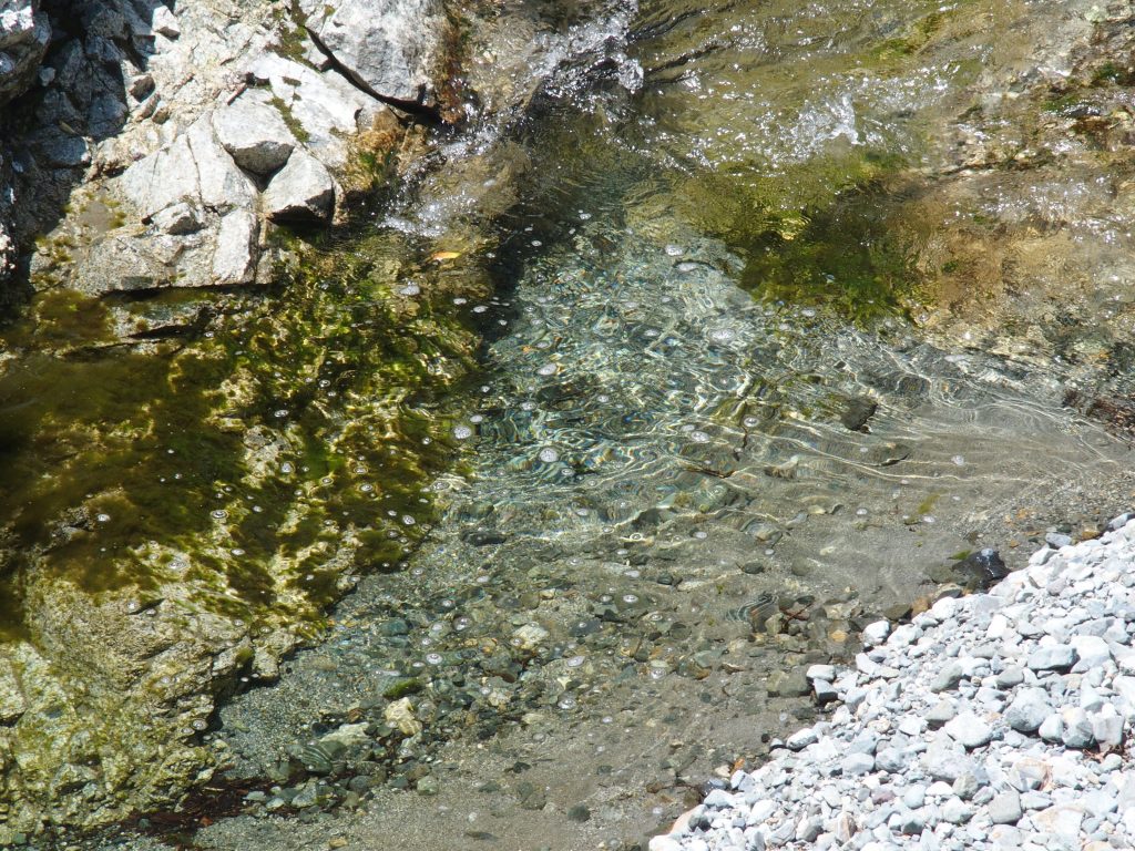 水にクローズアップ