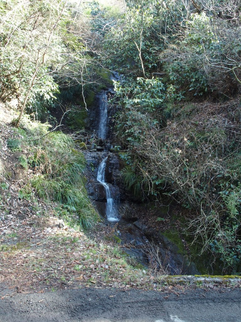 草や木の葉がなければ全景も見えやすい