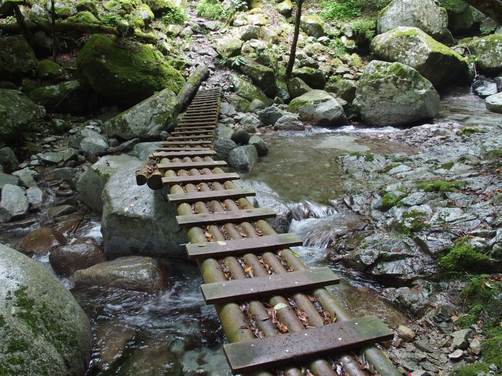 途中で連結された木橋