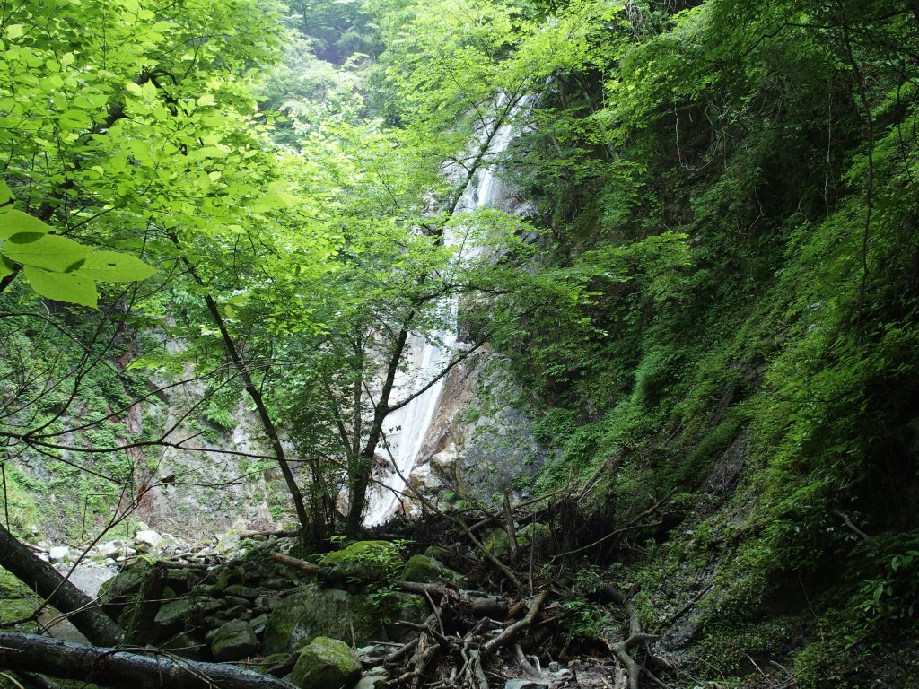 木々の間から下棚が見えてくる