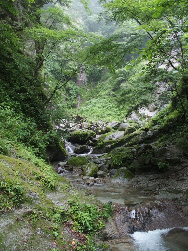 本棚へも川をさかのぼる経路