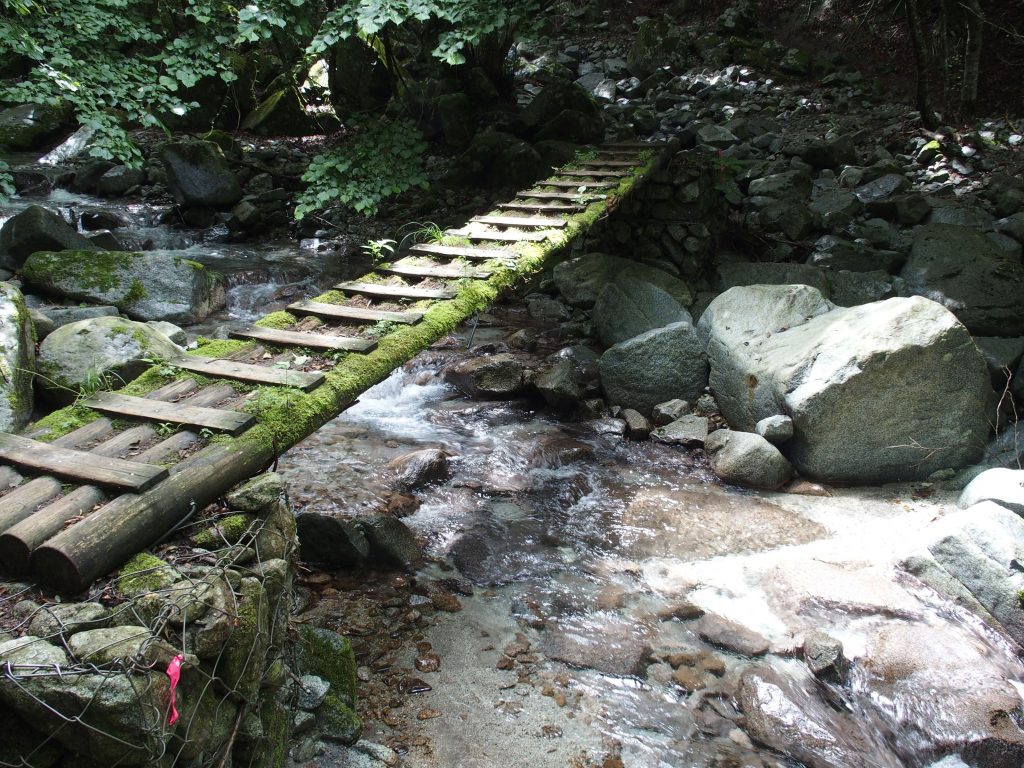 木橋をたくさん渡る