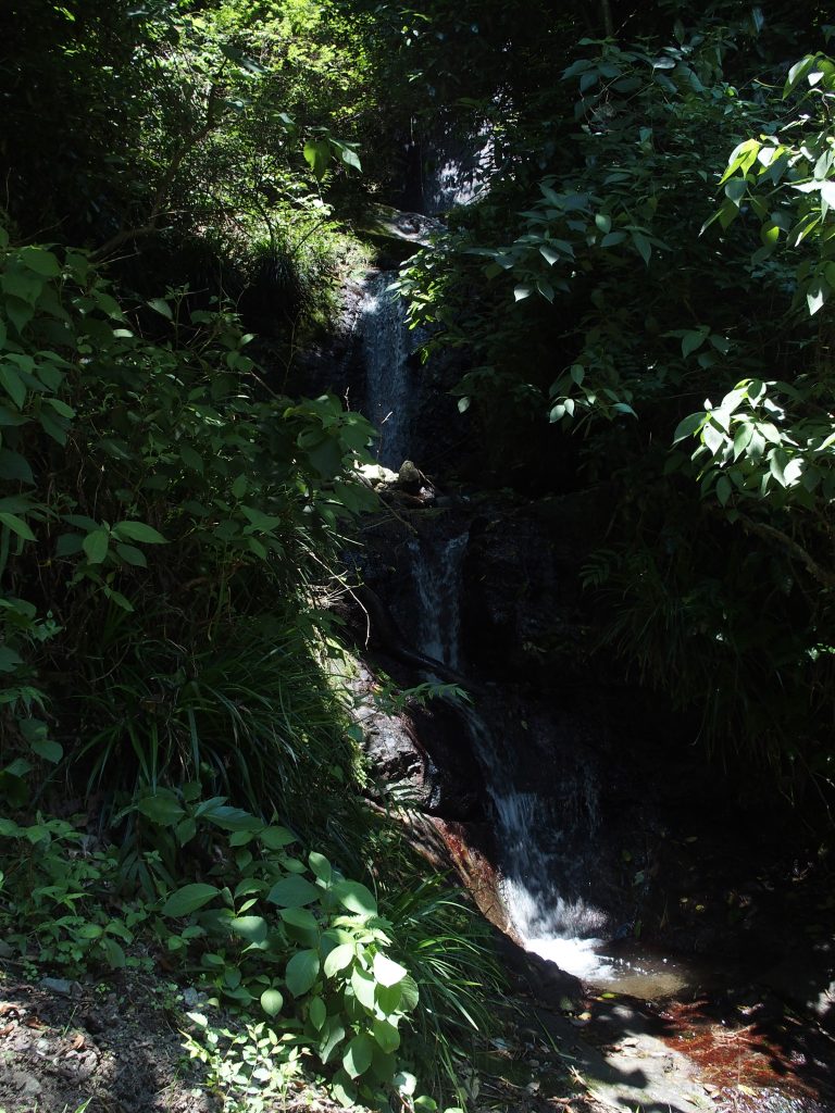 滝の全景