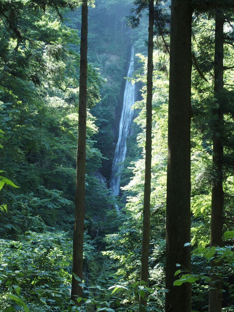 洒水の滝を遠望