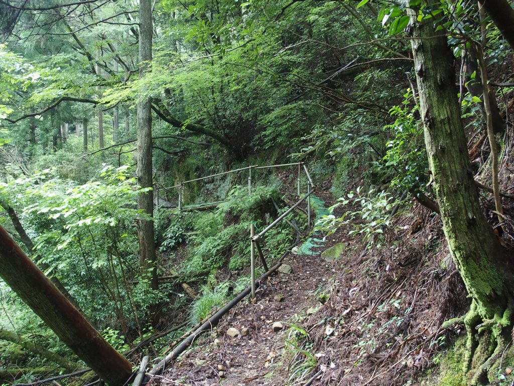 登山道も整備されている