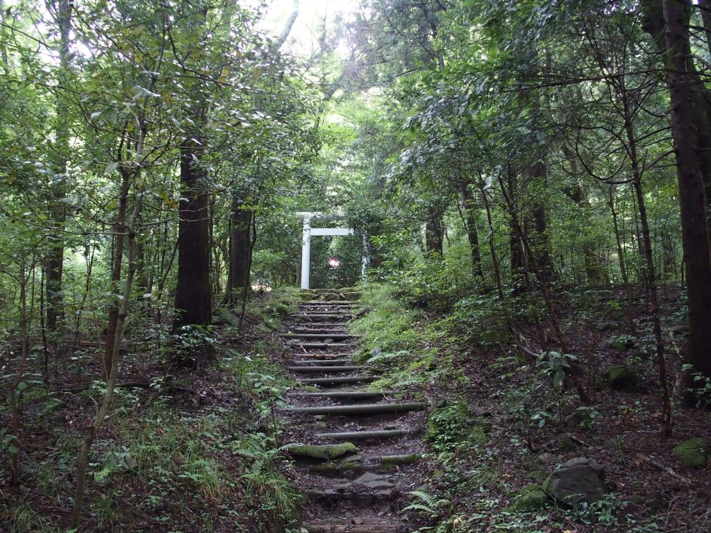 また鳥居が見えてくる