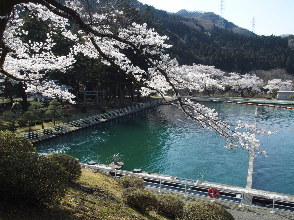 水源神社