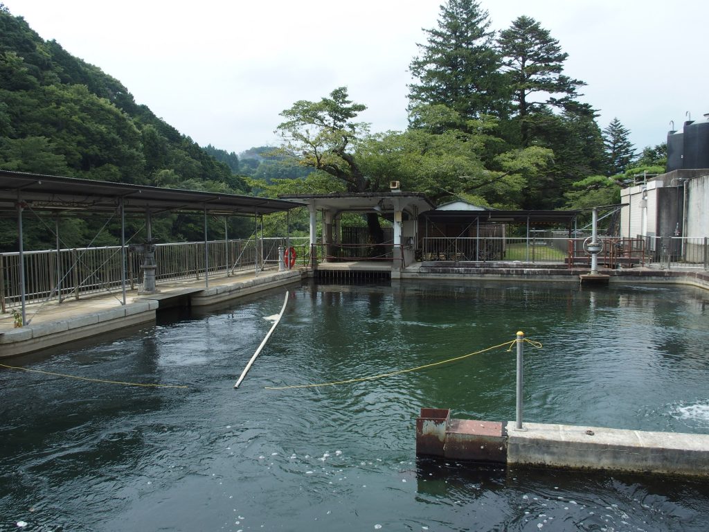 最初に水が流れ込む排砂池