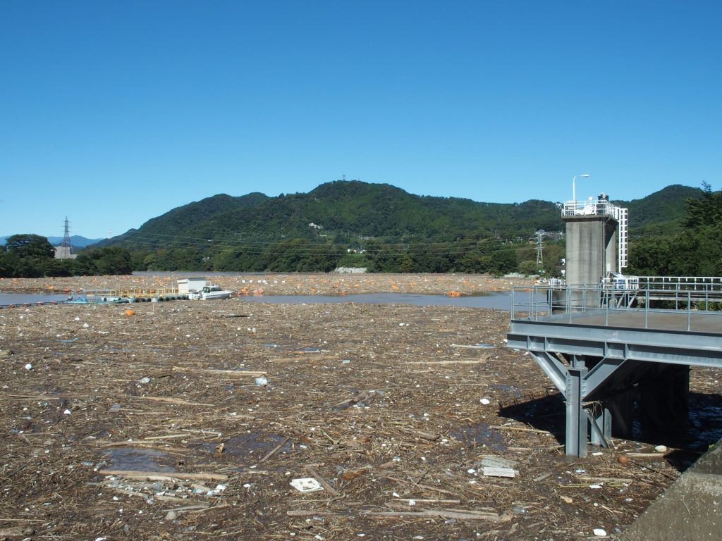 漂流物で埋め尽くされた湖面