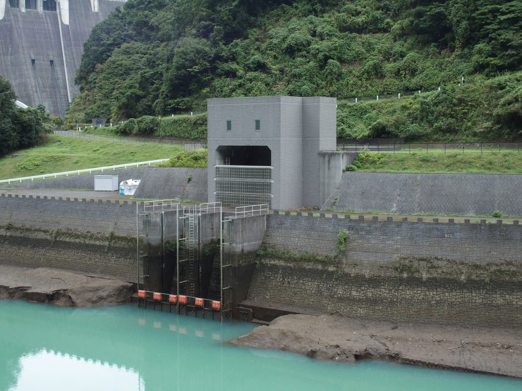 取水口全体が見えるかは水位次第