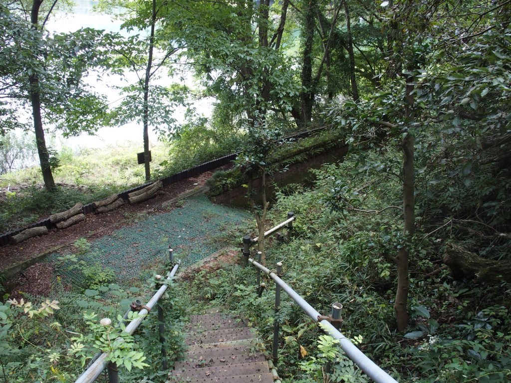 沈殿池跡に到着