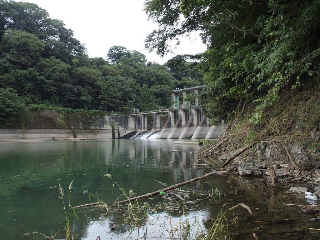 沼本ダム近くの水面