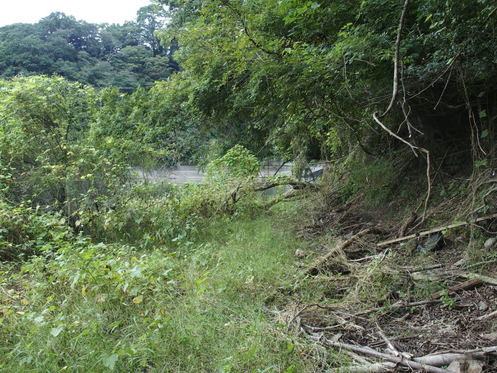 湖岸に近づく