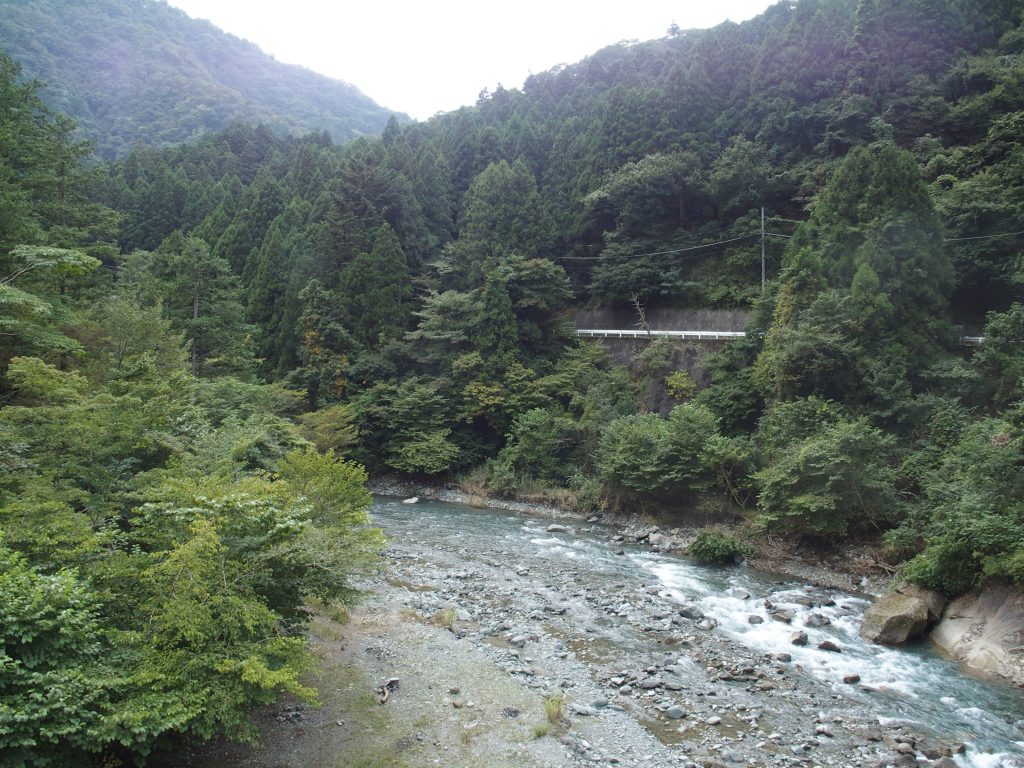 早戸川沿いの両側に林道