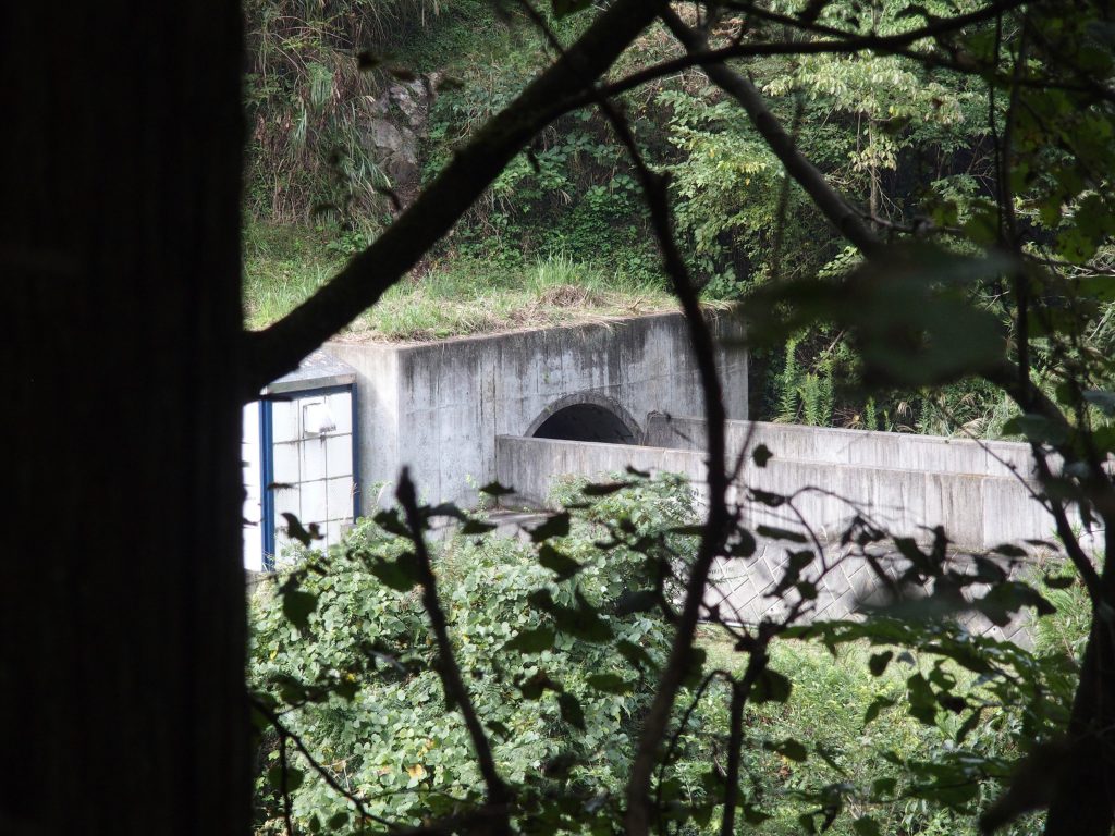 木々の間から道志導水路放水口が顔を出す