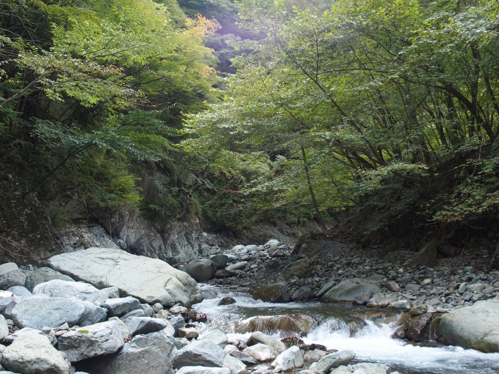 紅葉はまだ先だが、若干色づきはじめている