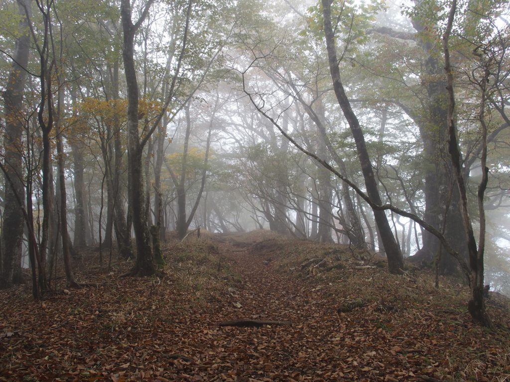 秋の登山道