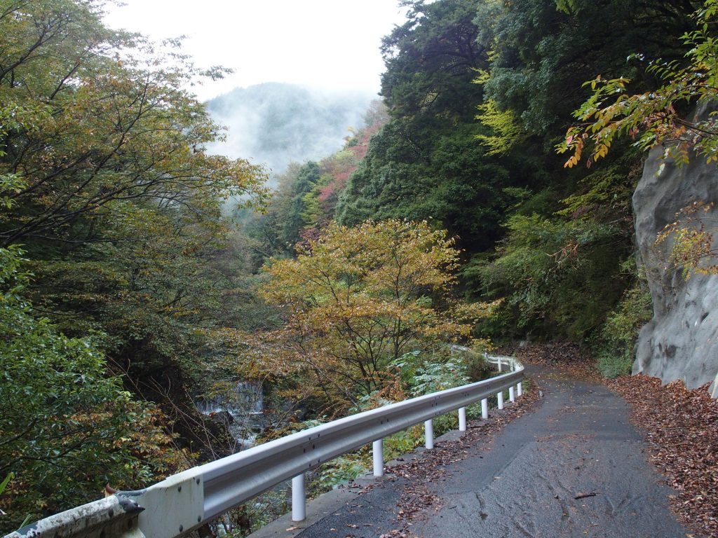 紅葉する林道